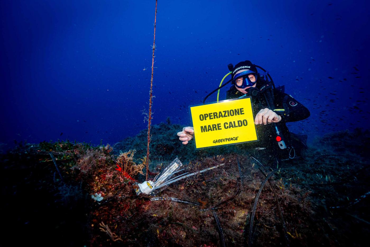 Greenpeace e il progetto Mare caldo Città Nuova Città Nuova