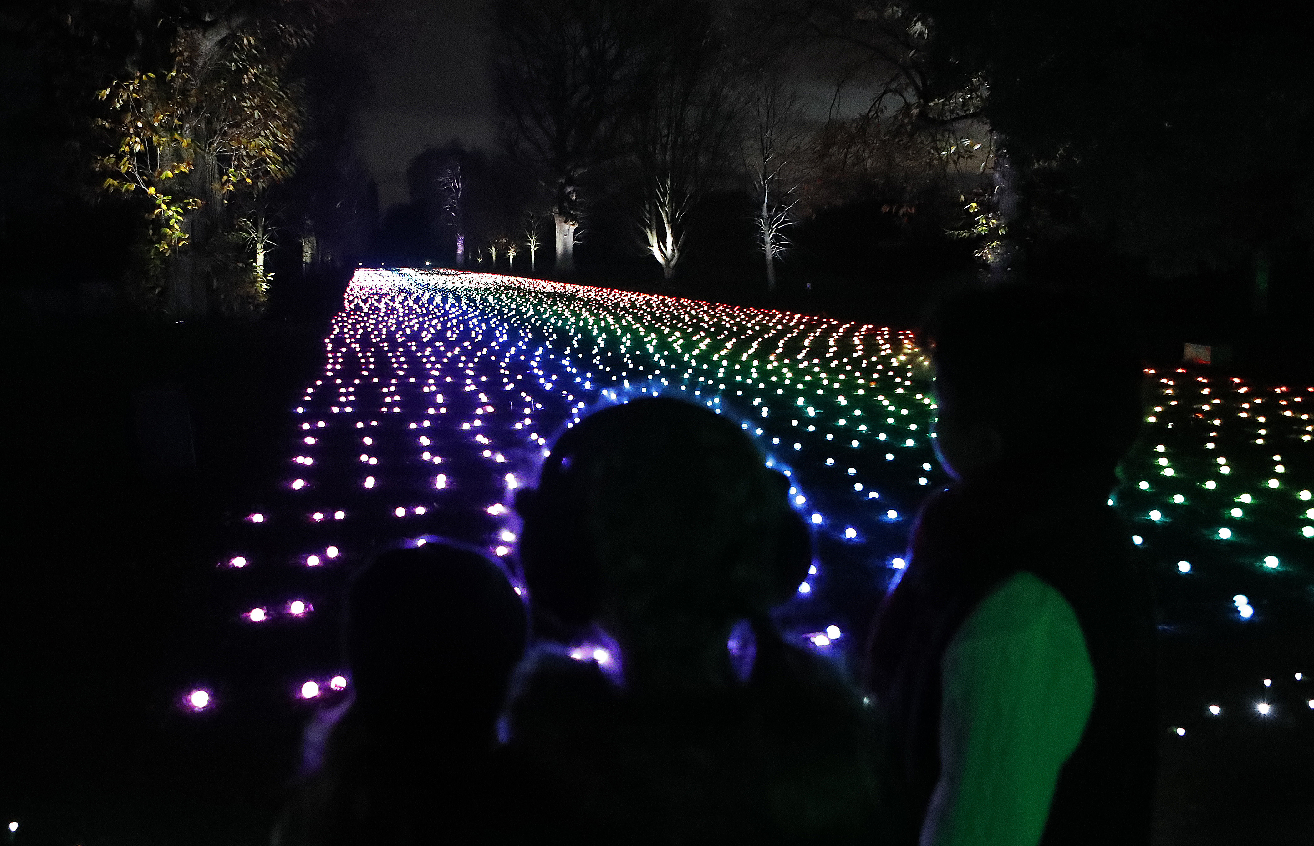 Visitors watch the field of light that is part of the illuminated trail through Kew Gardens magnificent after-dark landscape, lit up by over one million twinkling lights in London, Wednesday, Nov. 21, 2018. The spectacular light and sound installations run from 22, November 2018 – 5, January 2019.(AP Photo/Frank Augstein)