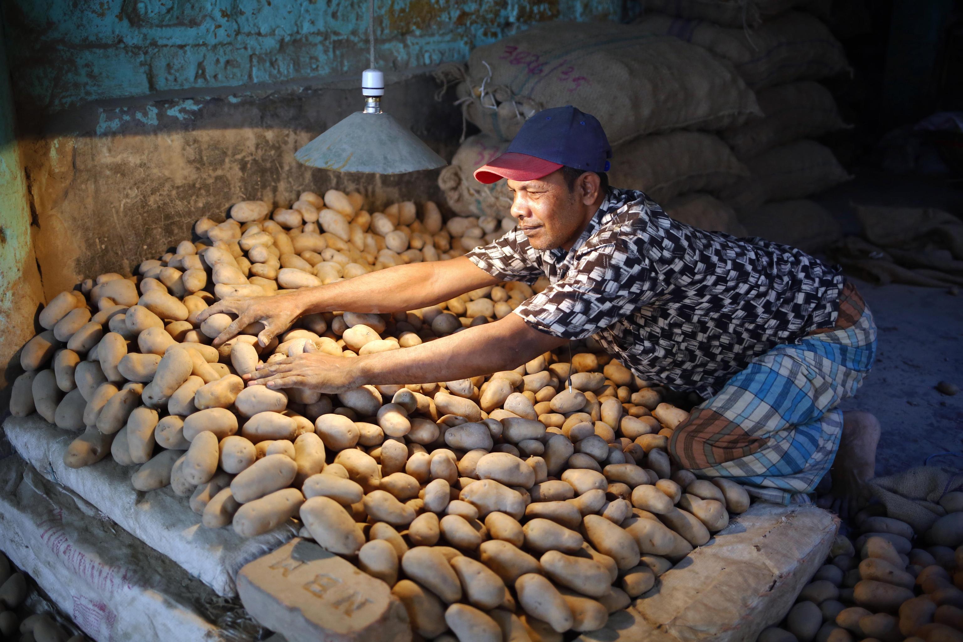 epa07827717 A man works at a vegetal wholesale market in the Shyam Bazar in Dhaka, Bangladesh, 08 September 2019.  EPA/MONIRUL ALAM