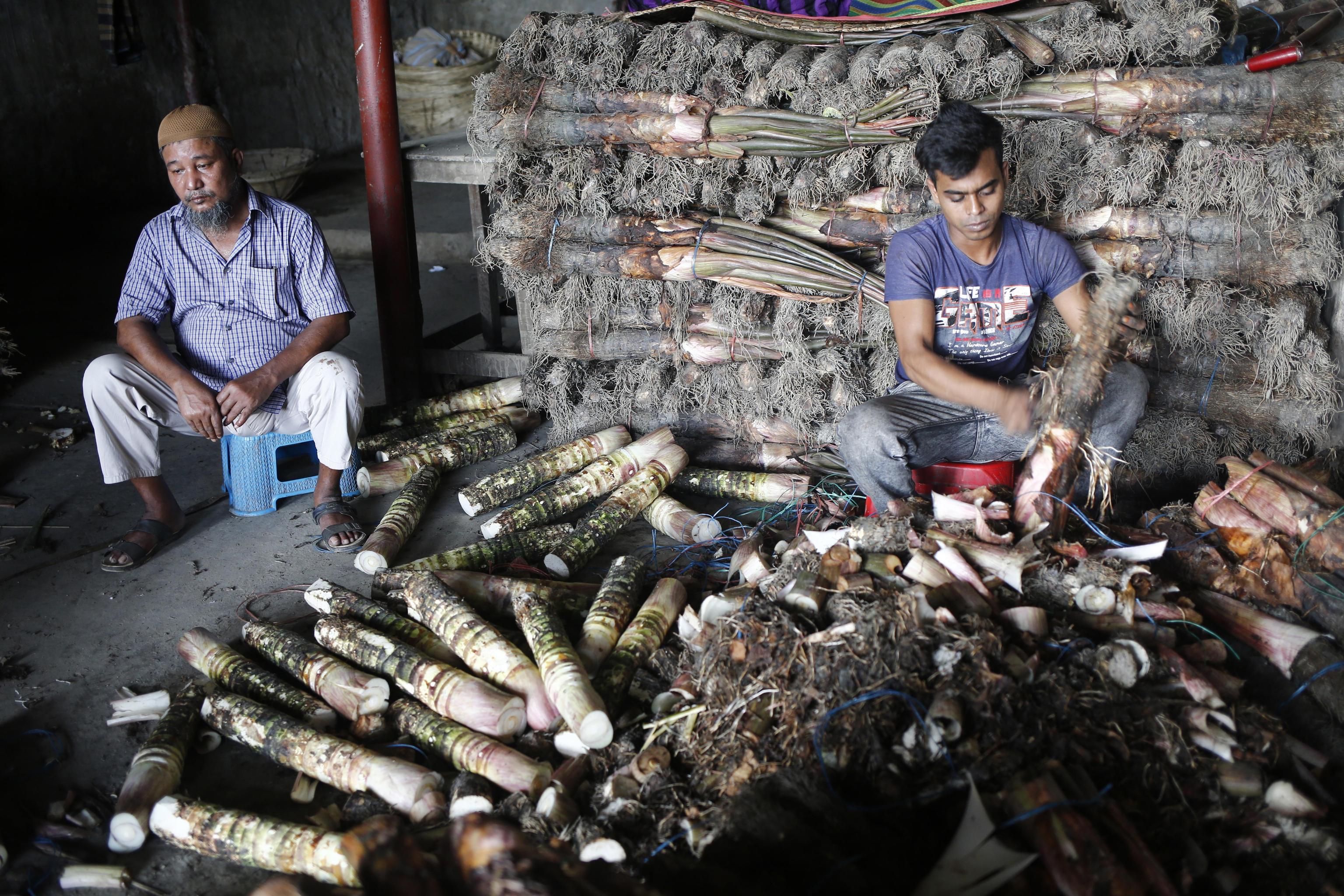 epa07827718 A man works at a vegetal wholesale market in the Shyam Bazar in Dhaka, Bangladesh, 08 September 2019.  EPA/MONIRUL ALAM