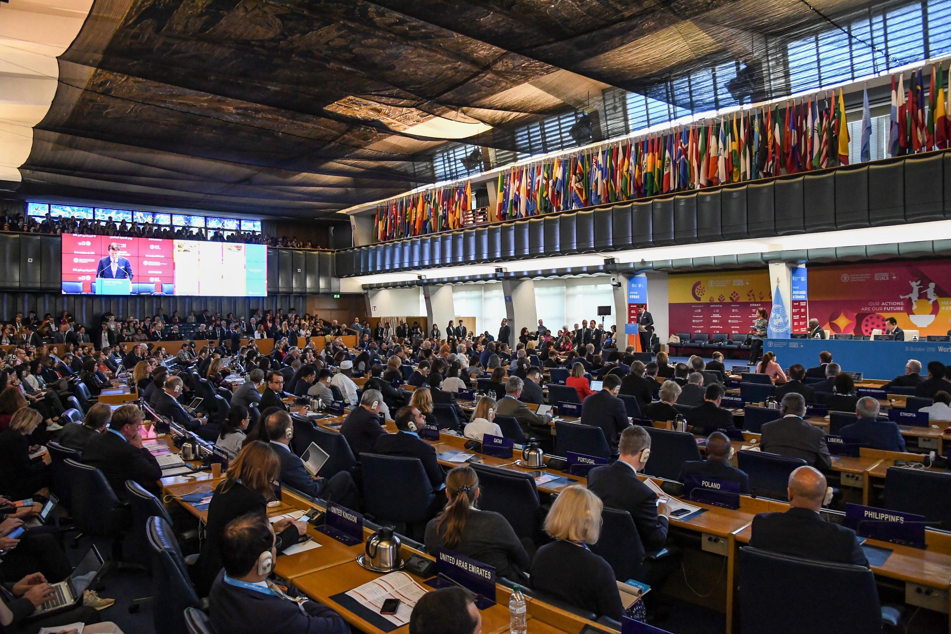 Italian Premier Giuseppe Conte in the FAO, United Nation's Food and Agriculture Organization headquarter, during the World Food Day Wednesday, Rome, Italy, 16 October 2019.
ANSA/ALESSANDRO DI MEO