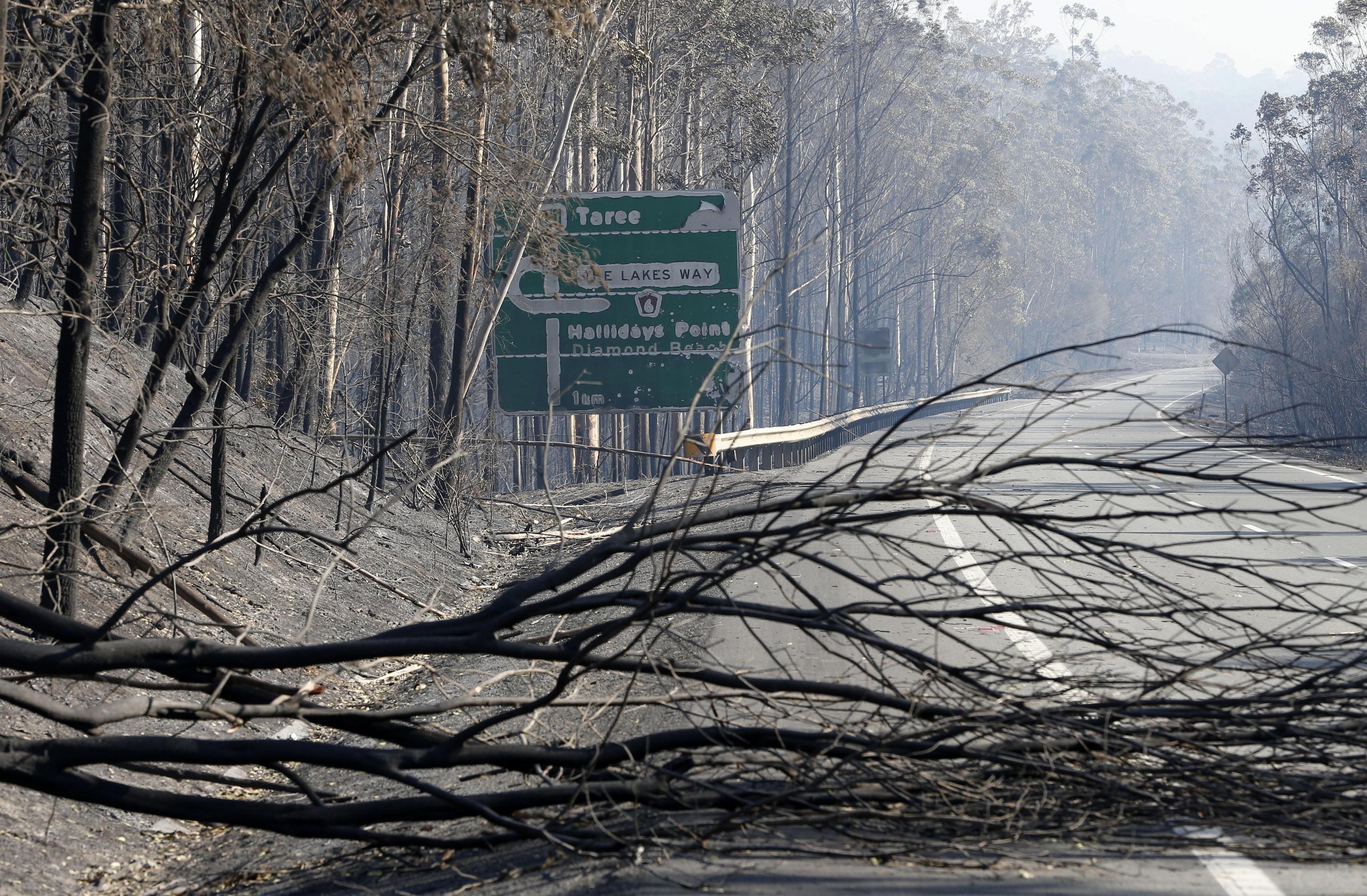 epa07982449 The remains of a fire which burnt out bush along the Pacific Highway south of Taree, New South Wales, Australia, 09 November 2019. Two people have been killed and seven others are msising due to bushfires in New South Wales, which have also destroyed at least 100 homes.  EPA/DARREN PATEMAN AUSTRALIA AND NEW ZEALAND OUT