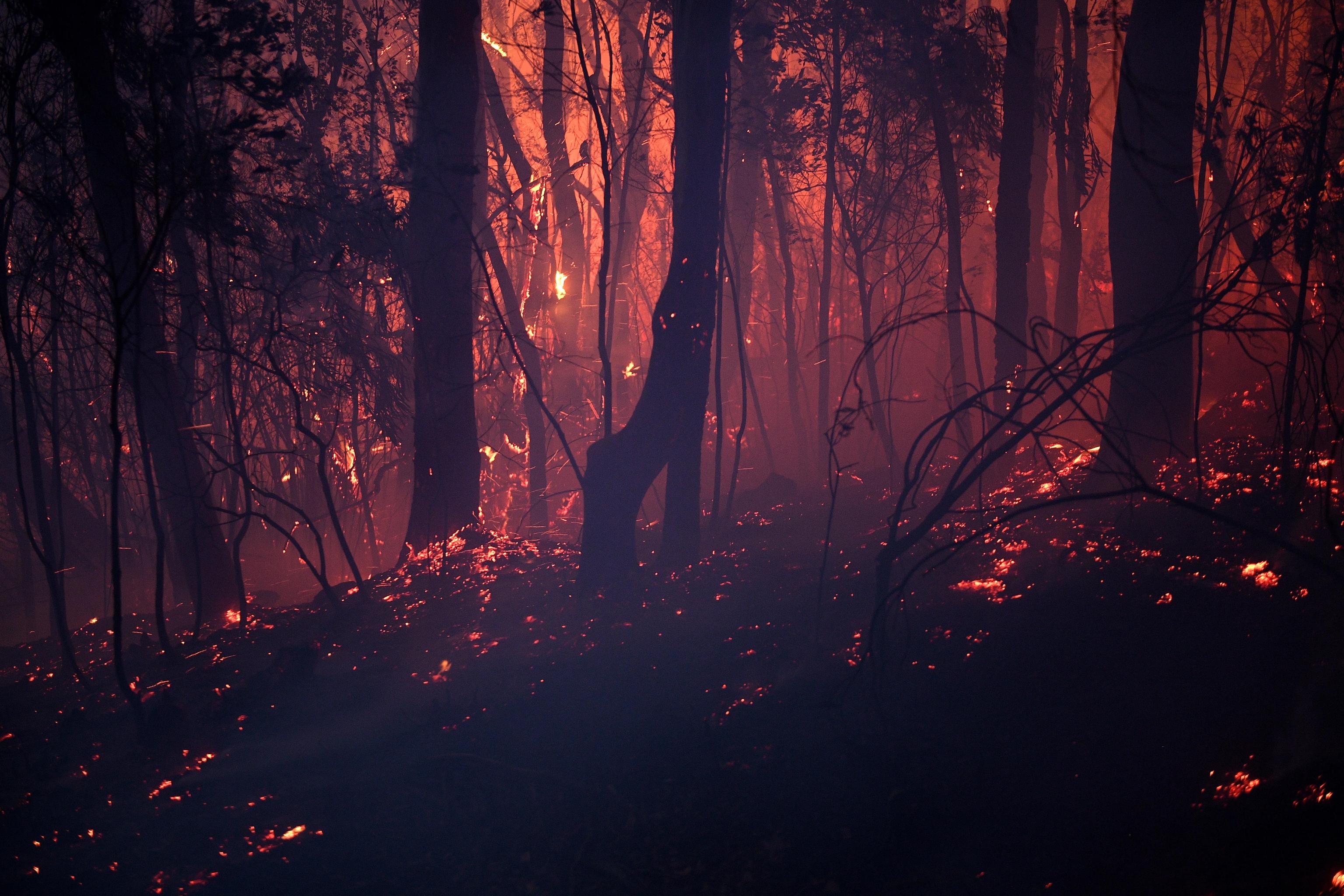 epaselect epa07981099 A bushfire burns close to homes on Railway Parade in Woodford, New South Wales (NSW), Australia, 08 November 2019. Hot, windy conditions have seen bushfires burn out of control across parts of New South Wales, with 15 emergency warnings currently in effect in the state.  EPA/DAN HIMBRECHTS AUSTRALIA AND NEW ZEALAND OUT