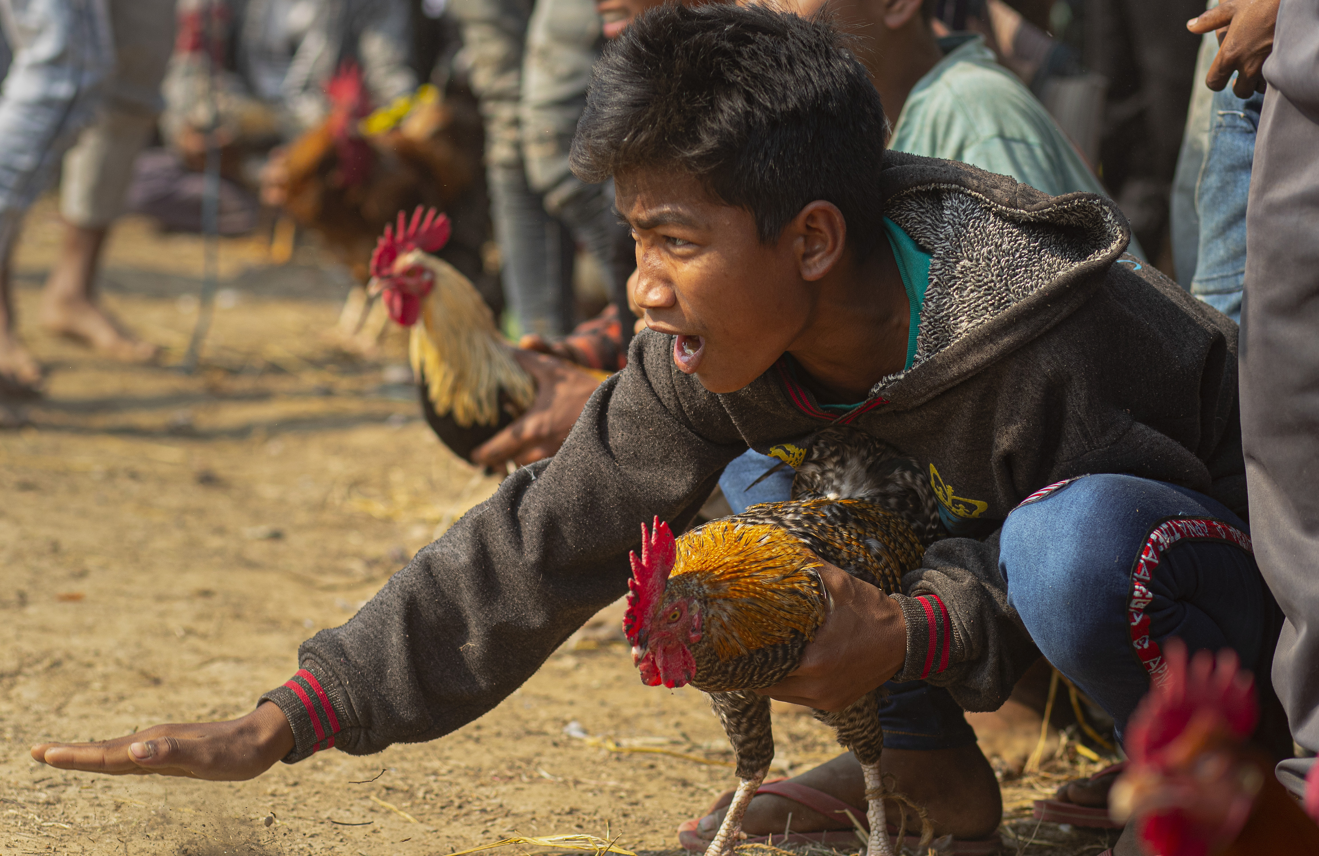 A boy shouts to encourage his rooster during a cockfight as part of Jonbeel festival near Jagiroad, about 75 kilometers (47 miles) east of Gauhati, India, Friday, Jan. 17, 2020. Tribal communities like Tiwa, Karbi, Khasi, and Jaintia from nearby hills participate in large numbers in this festival, that signifies harmony and brotherhood amongst various tribes and communities, and exchange goods through an established barter system. (AP Photo/Anupam Nath)