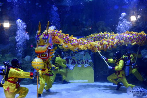 Divers perform underwater dragon dance as part of upcoming Chinese Lunar New Year celebrations at Aquaria KLCC underwater park in Kuala Lumpur, on Friday, Jan. 17, 2020. (AP Photo)