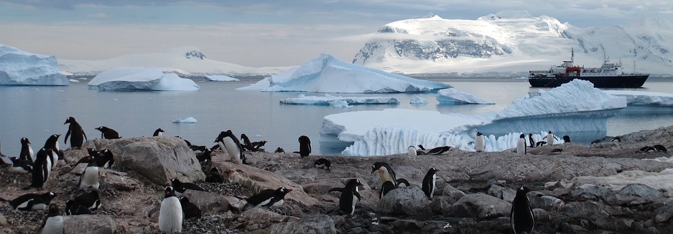 L'Antartide si sta sciogliendo (Pixabay)