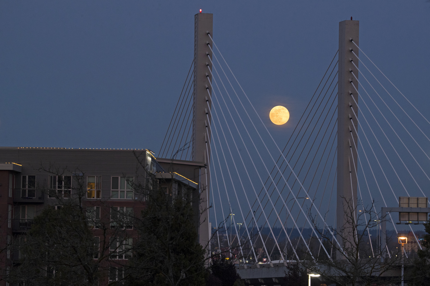 The so-called pink supermoon rises above the Highway 509 bridge over the Thea Foss Waterway, Tuesday, April 7, 2020, in Tacoma, Wash. April's full moon coincides with it being the closest to earth during its orbit in the year 2020, but the moon is only called pink due to it appearing each year around the same time as the blooming of a wildflower native to eastern North America. (AP Photo/Ted S. Warren)