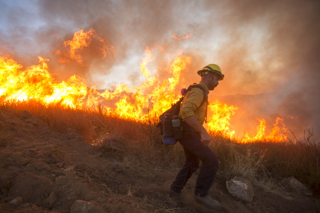 A firefighter battles the Apple Fire in Banning, Calif., Saturday, Aug. 1, 2020. (AP Photo/Ringo H.W. Chiu)
