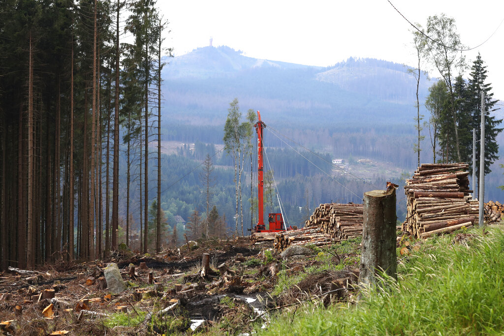 Workers clear the 'Harz' forests destroyed by bark beetles near the 1142 meters (3,743 ft) high Brocken mountain in Schierke, Germany, Monday, Aug.10, 2020. (AP Photo/Matthias Schrader)