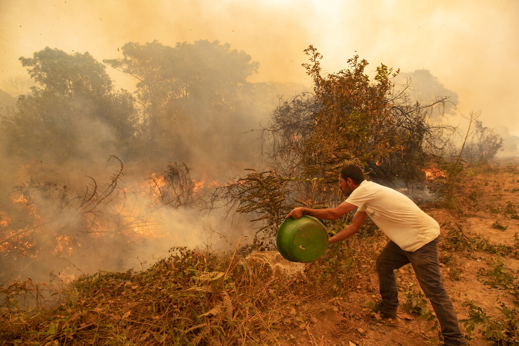 A volunteer tries to douse a fire on the Transpantaneira road in the Pantanal wetlands near Pocone, Mato Grosso state, Brazil, Friday, Sept. 11, 2020. The number of fires in Brazil’s Pantanal, the world’s biggest tropical wetlands, has more than doubled in the first half of 2020 compared to the same period last year, according to data released by a state institute.  (AP Photo/Andre Penner)