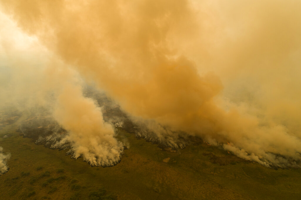 Fire consumes an area next to the Transpantaneira road at the Pantanal wetlands near Pocone, Mato Grosso state, Brazil, Friday, Sept. 11, 2020. The number of fires in Brazil’s Pantanal, the world’s biggest tropical wetlands, has more than doubled in the first half of 2020 compared to the same period last year, according to data released by a state institute.  (AP Photo/Andre Penner)