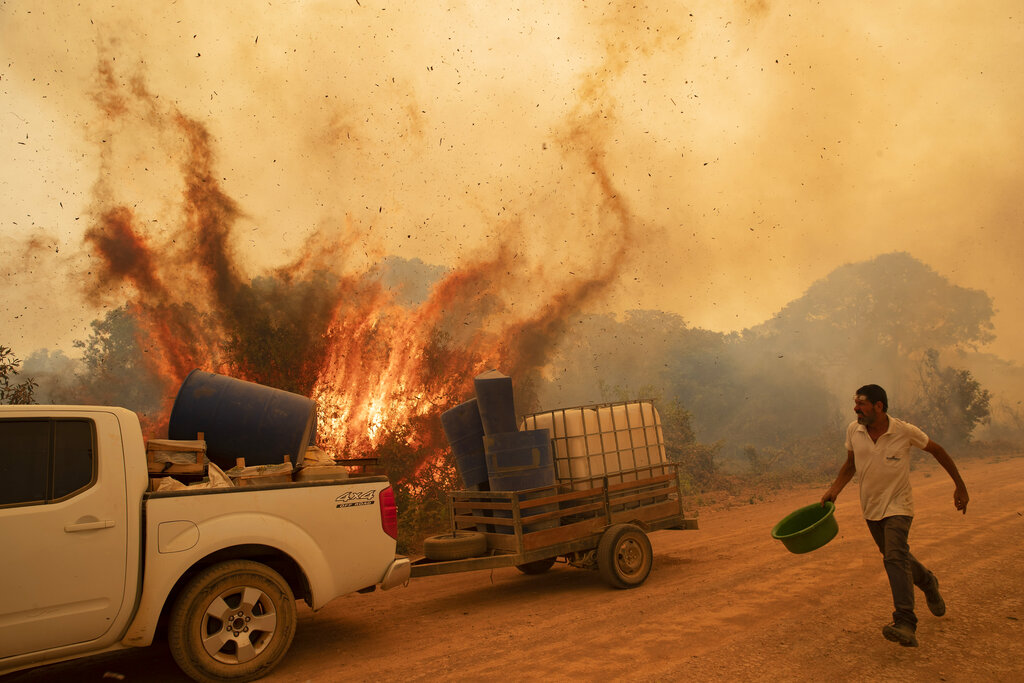 A volunteer tries to douse the fire on the Transpantaneira road in the Pantanal wetlands near Pocone, Mato Grosso state, Brazil, Friday, Sept. 11, 2020. The number of fires in Brazil’s Pantanal, the world’s biggest tropical wetlands, has more than doubled in the first half of 2020 compared to the same period last year, according to data released by a state institute.  (AP Photo/Andre Penner)