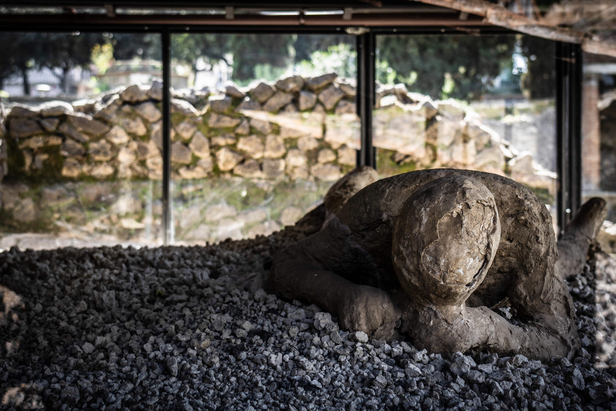 Corpo contorto di una delle vittime dell'eruzione del Vesuvio del 79 d.C. nel Parco Archeologico di Pompei, 29 marzo 2024. Foto ANSA/CESARE ABBATE
