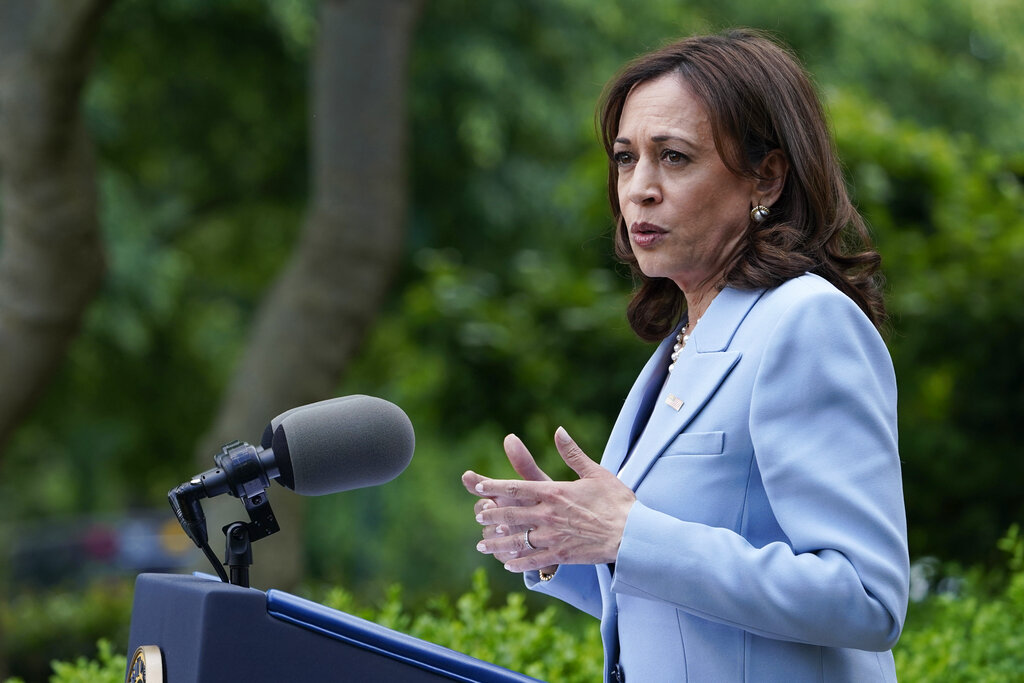 FILE - Vice President Kamala Harris speaks in the Rose Garden of the White House in Washington, May 17, 2022.  Harris will speak with abortion providers from states with some of the nation’s strictest restrictions on the procedure Thursday to thank them for their work, The White House said Harris will meet virtually meeting with medical professionals practicing in Oklahoma, Kansas, Texas, Missouri and Montana.  (AP Photo/Susan Walsh, File)