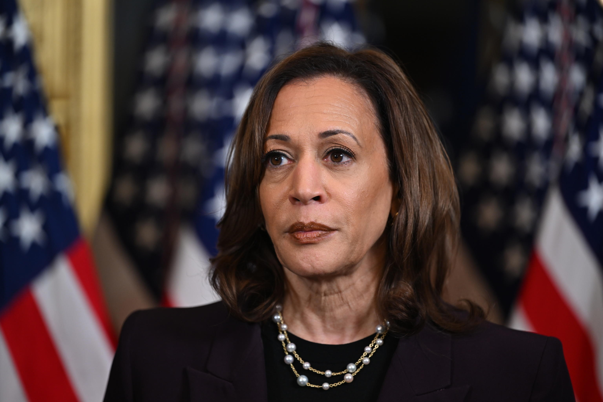 La vicepresidente degli Stati Uniti Kamala Harris a Washington, DC, 25 luglio 2024. Foto: EPA/KENNY HOLSTON / POOL via Ansa