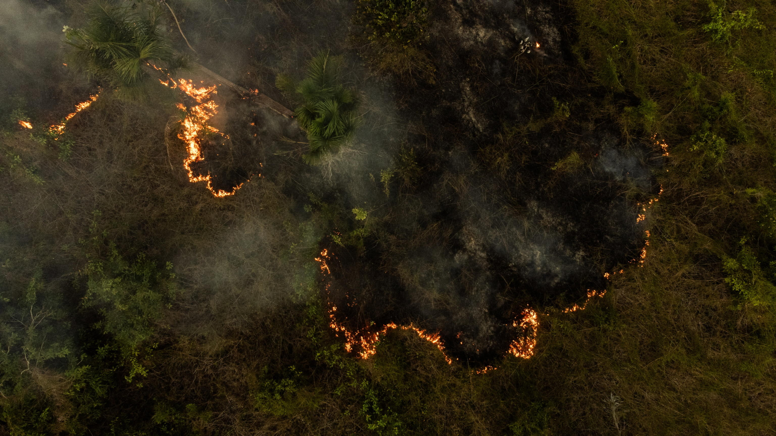 epa11588564 A drone photograph shows a fire that took over a green area in Manaus, Amazonas, Brazil, 05 September 2024. Amazonas, the largest state in Brazil, is suffering from an environmental crisis after experiencing the worst drought in its history and record fires in 2023. This year everything indicates that the figures could be exceeded and even sooner than expected.  EPA/RAPHAEL ALVES