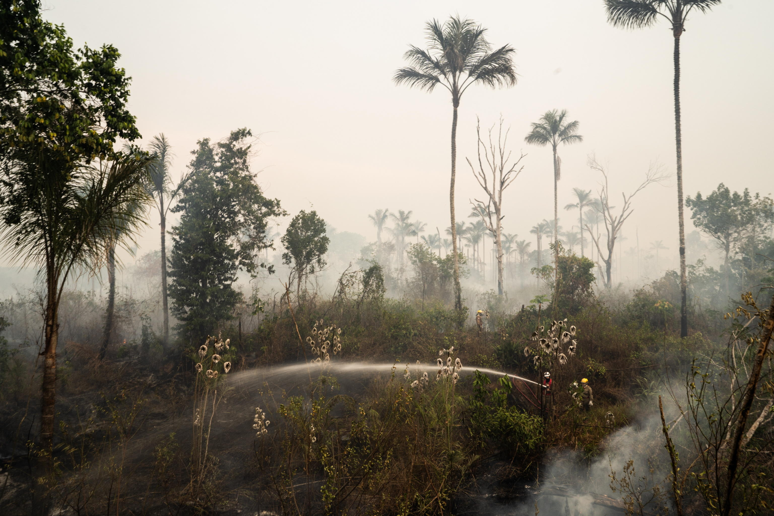 epa11588565 Firemen try to put down a fire in a green area in Manaus, Amazonas, Brazil, 05 September 2024. Amazonas, the largest state in Brazil, is suffering from an environmental crisis after experiencing the worst drought in its history and record fires in 2023. This year everything indicates that the figures could be exceeded and even sooner than expected.  EPA/RAPHAEL ALVES