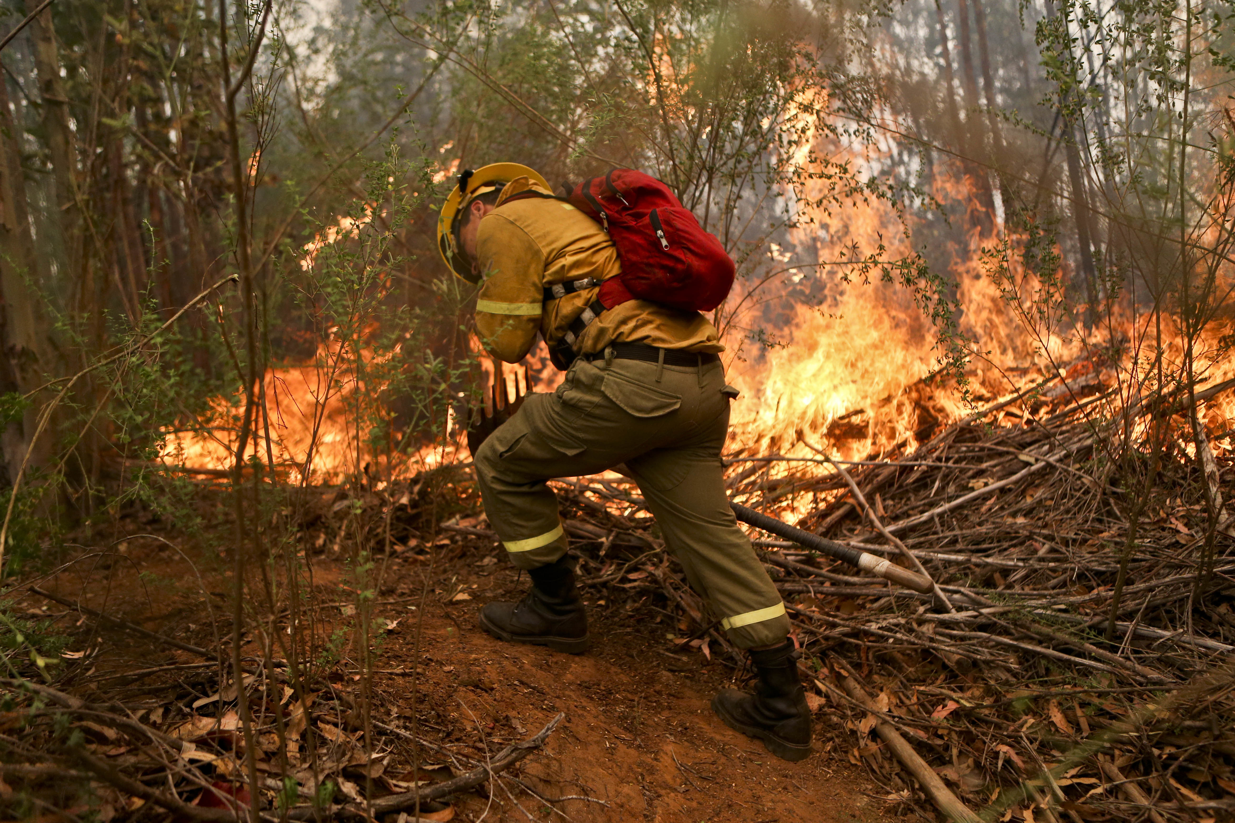 A firefighter digs a trench in an effort to stop the advancement of a wildfire in the Florida community of Concepcion, Chile, Friday, Jan. 27, 2017. Fires have been raging in central and southern Chile, fanned by strong winds, hot temperatures and a prolonged drought. Emergency services have battled the flames non-stop for days with thousands of firefighters on the ground and helicopters and small airplanes in the air. (AP Photo/Esteban Felix)