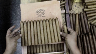 Il festival del sigaro cubano