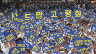 Corea del sud: contro l’istallazione dei missili