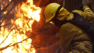 Il Centro Sud del Cile sconvolto da incendi