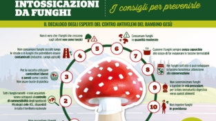 Funghi, il decalogo per non correre rischi