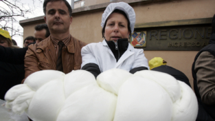 Solo mozzarella di bufala campana DOP