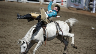 Tutti al rodeo di Calgary