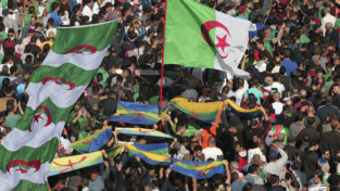 Algeria: la protesta che non fa notizia