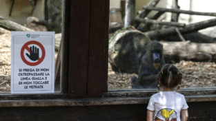 Riapre il Bioparco di Roma