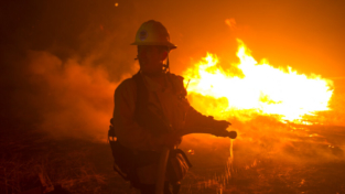 California di nuovo in fiamme