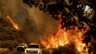 Incendi in California, dichiarato lo stato di calamità