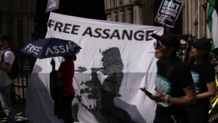 Assange e la libertà di stampa, appello di Amnesty international