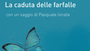 La caduta delle farfalle (ebook)