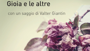 Gioia e le altre (ebook)