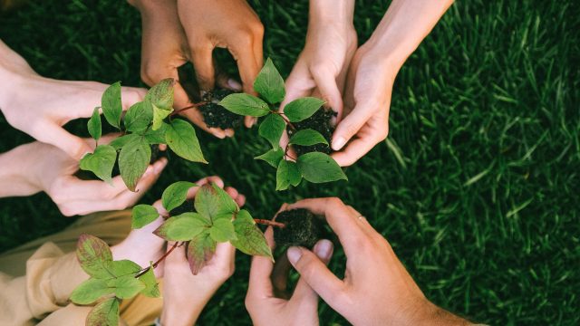 Biodiversità umana e virtù in estinzione