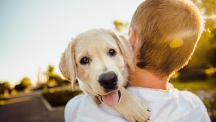 Spagna, più animali domestici che bambini