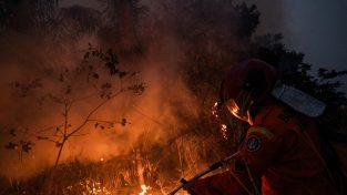 Gli incendi incombono sulla Giornata della foresta amazzonica