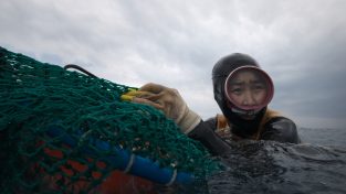 The last of the sea women, le protettrici del mare