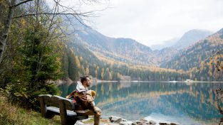 Respiriamo a pieni polmoni, verso una gestione forestale sostenibile