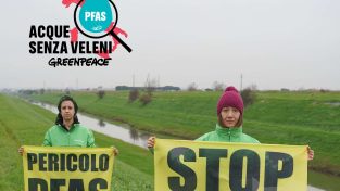 Inquinanti Pfas in Italia, la mappa di Greenpeace