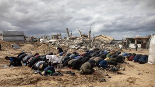 Gaza, casa mia